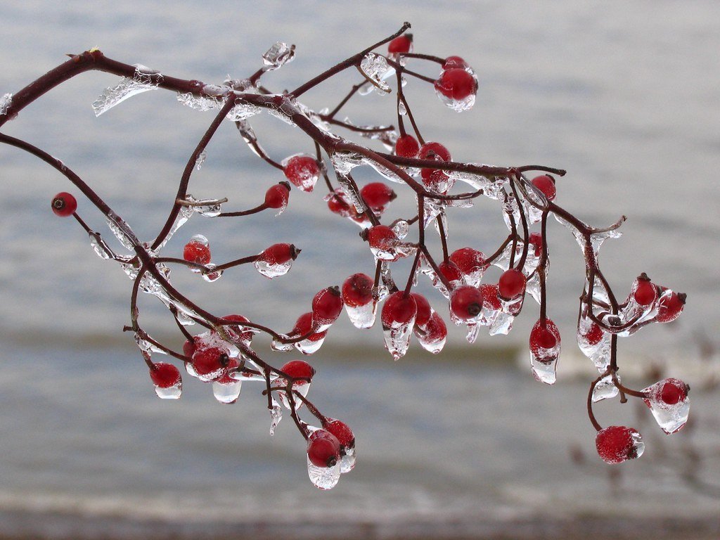 Maximize Your Property⁤ Search⁤ Efficiency with ‍a Skilled Orlando‍ Realtor