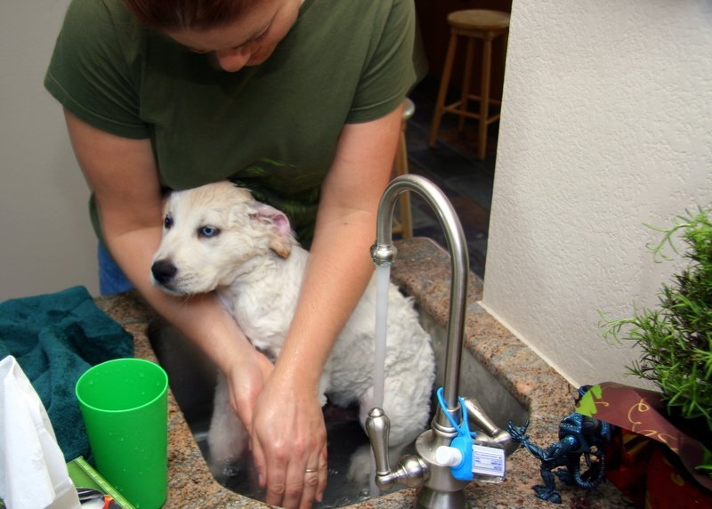 Maximize Your Home Search Experience with Zillow for‌ Sale ​Winter Haven FL