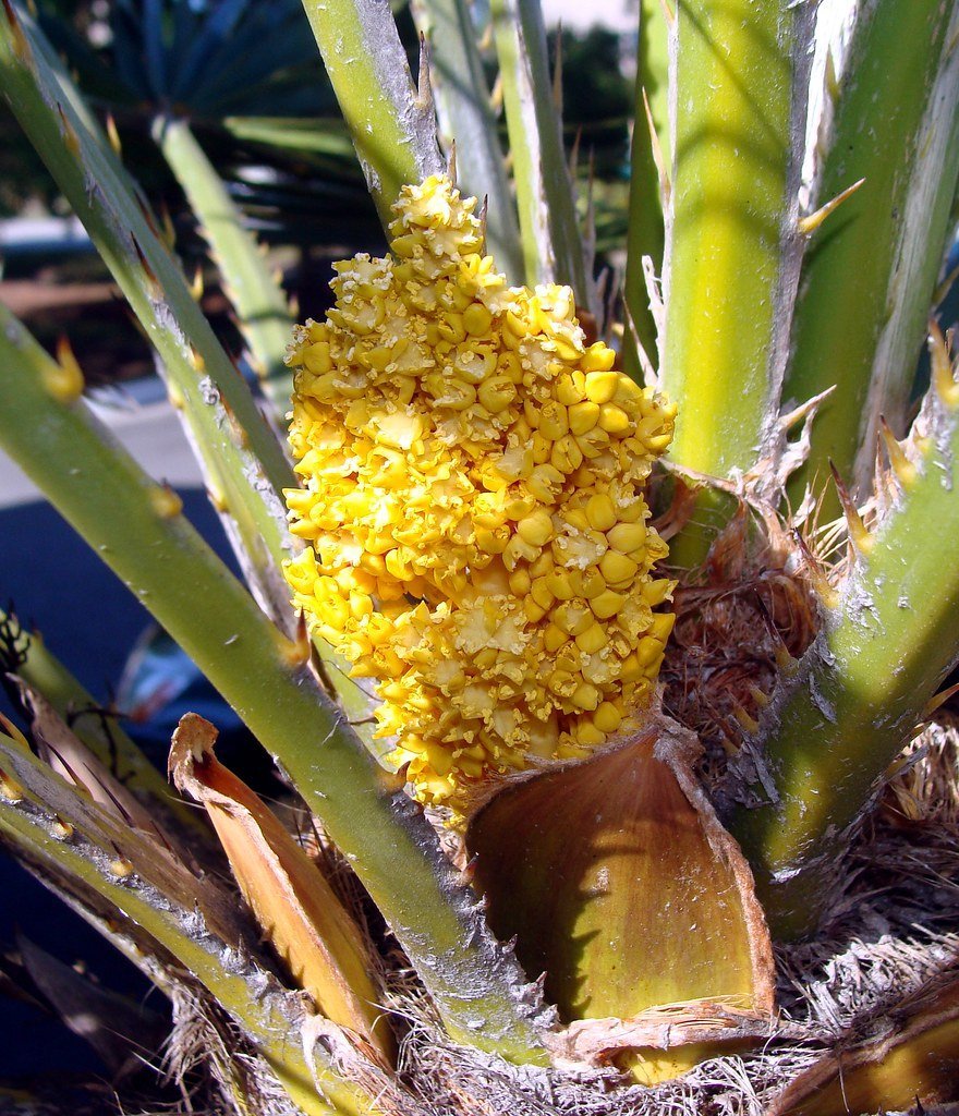 Palmetto, FL House Sales: Top Recommendations for House Sale Websites