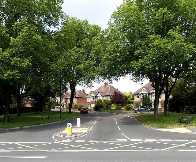 Leafy Suburban Paradise: Explore the Serene Condos amidst Nature in Apopka FL