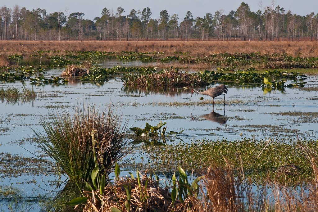 Living the Lake Wales Lifestyle: Perks and Amenities Await