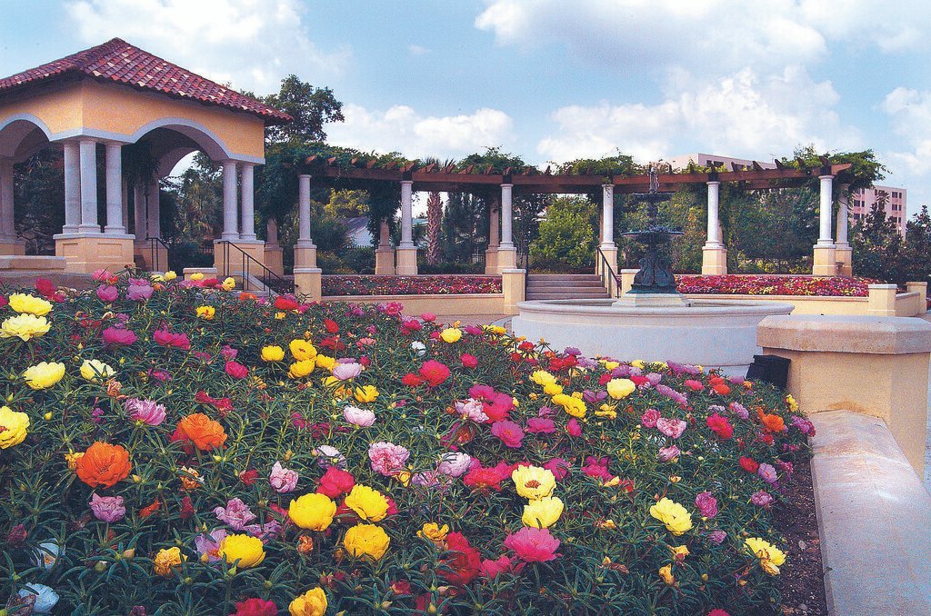 Discovering Lakeland FL: A Haven for Homebuyers