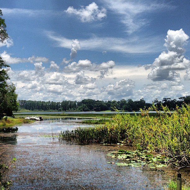 Exploring the⁣ Alluring‍ Amenities of Lake Mary FL and ​Surrounding Areas