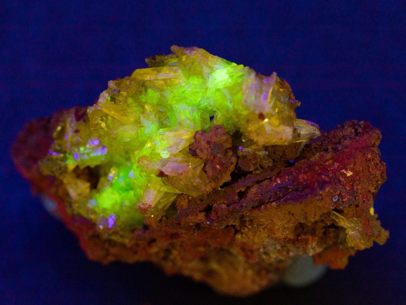 Uncover Affordable Gem Properties: ‌Hidden Opportunities for First-Time Homebuyers near Lakeland FL