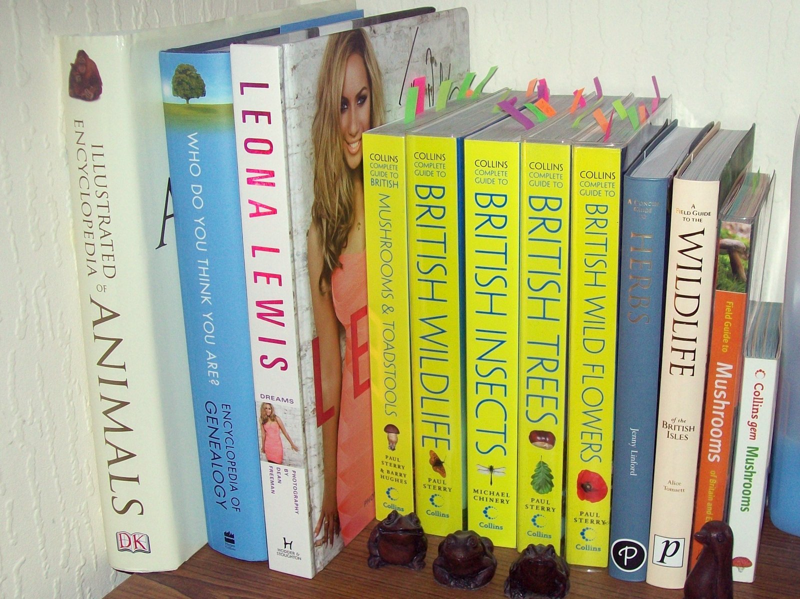 A Complete Guide to Buying ⁣or ‌Selling ⁤Property in​ Indialantic FL