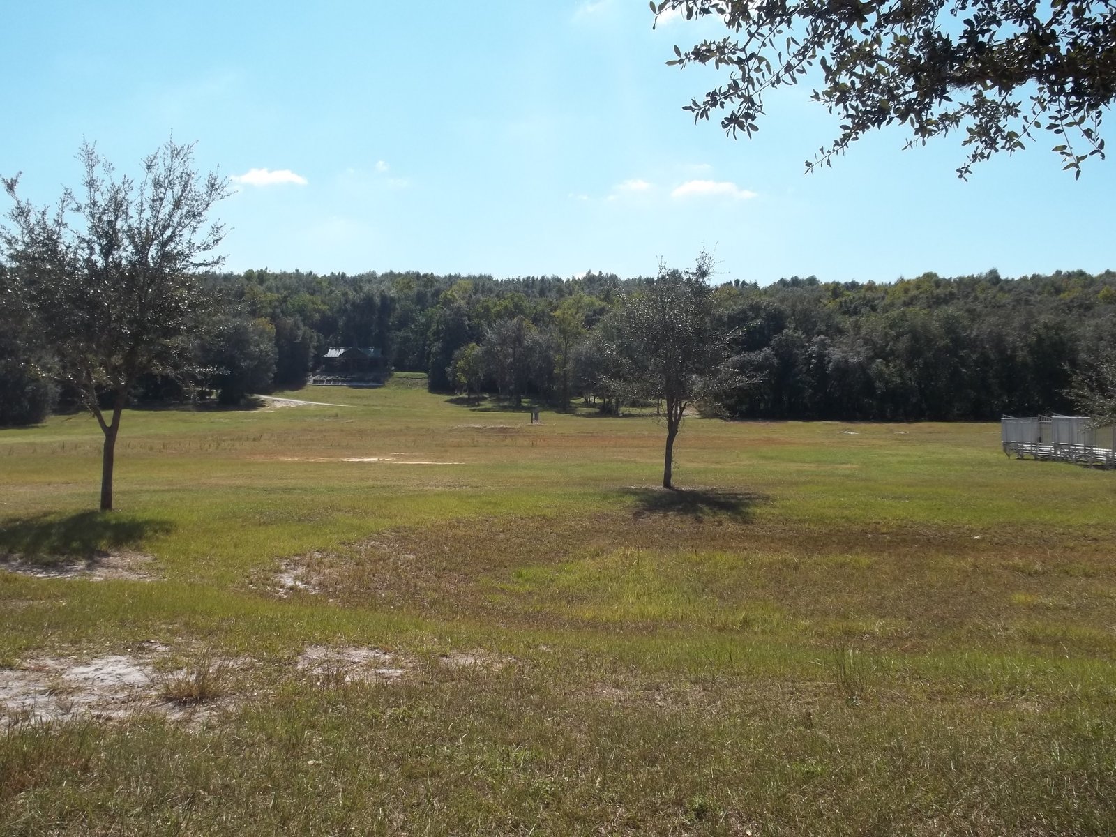 Navigating the Minneola ⁤FL Real Estate Market: Tips and Insights