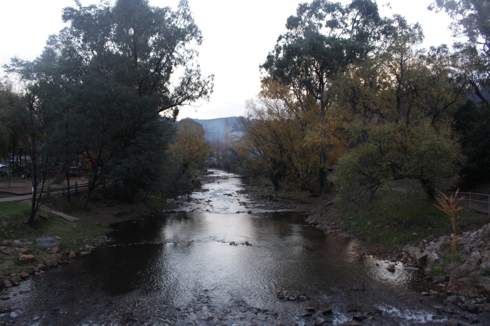 Discover the Serene Beauty of Redfin Seaside FL