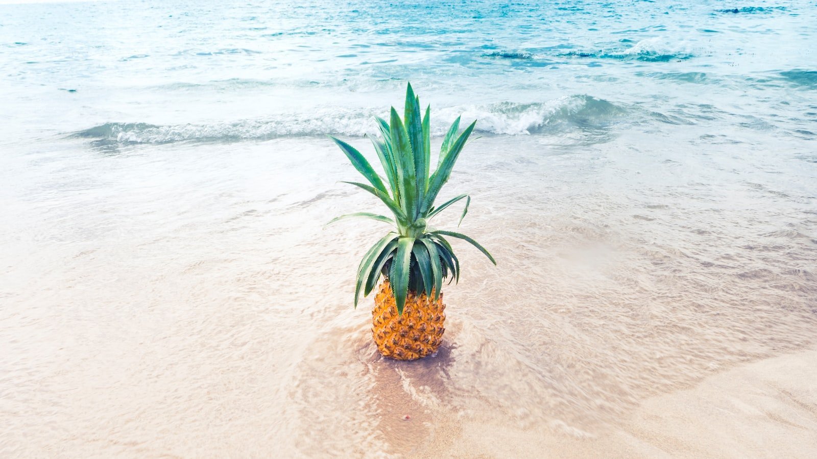 Discover the Charm andâ£ Luxury ofâ¢ Highland Beachâ FL Real Estate