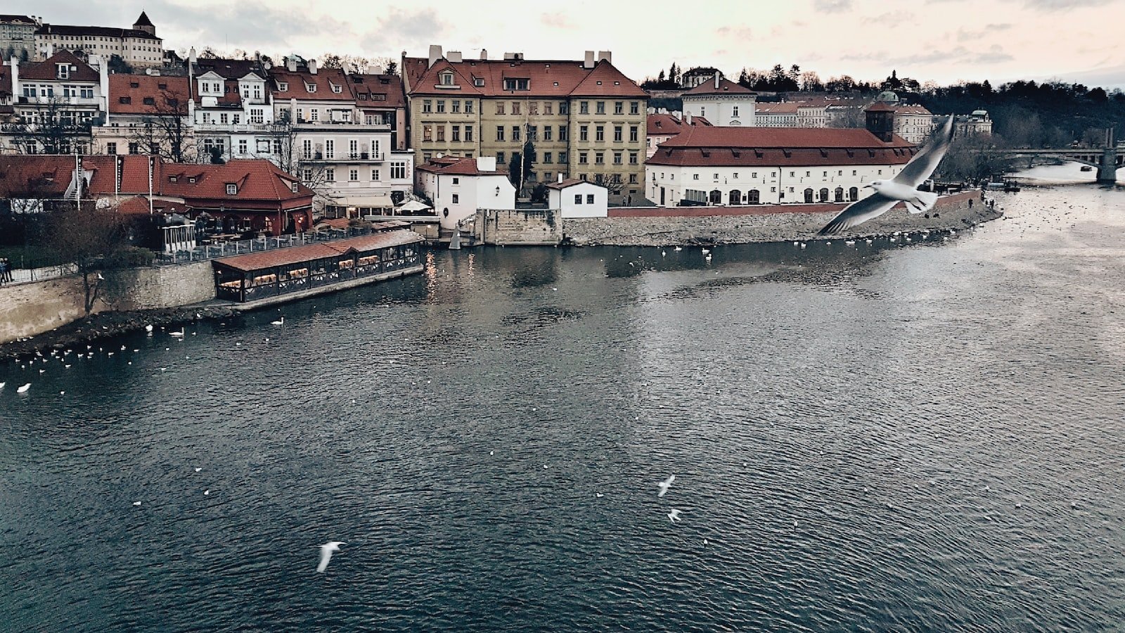 1. Charming Waterfront Properties: Discover the Allure of New Port Richey's Homes for Sale