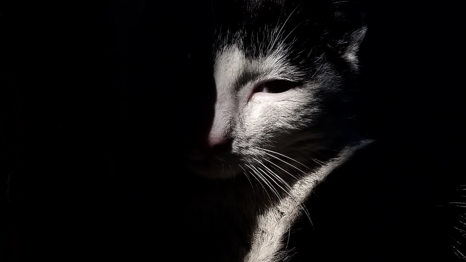 Unveiling Hidden Gems: Zillow's Insider Recommendations in Surfside FL