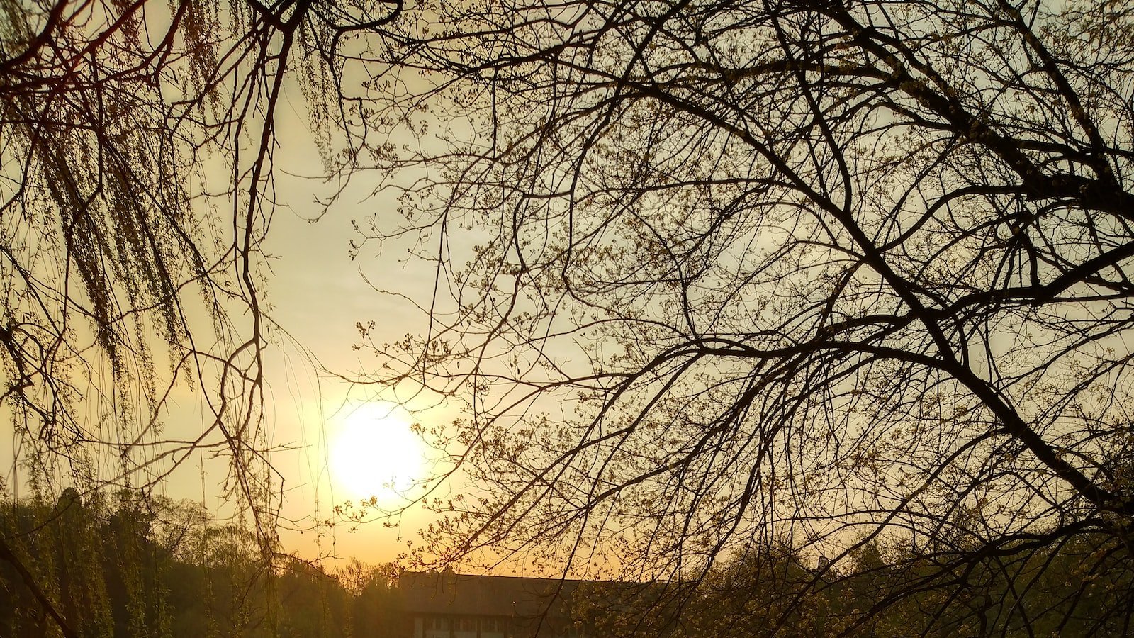 Exploring the ​Neighborhood: Lake⁤ Worth FL's Hidden Gems