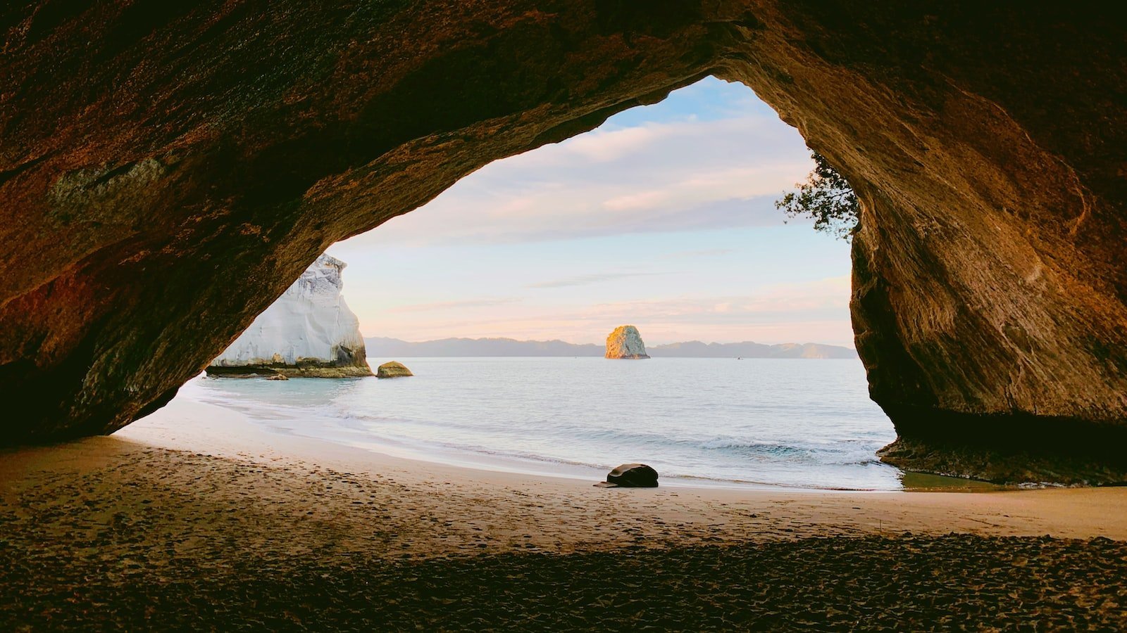 The Ultimate Coastal Living Experience: Insider Tips for Redfin Sanibel FL