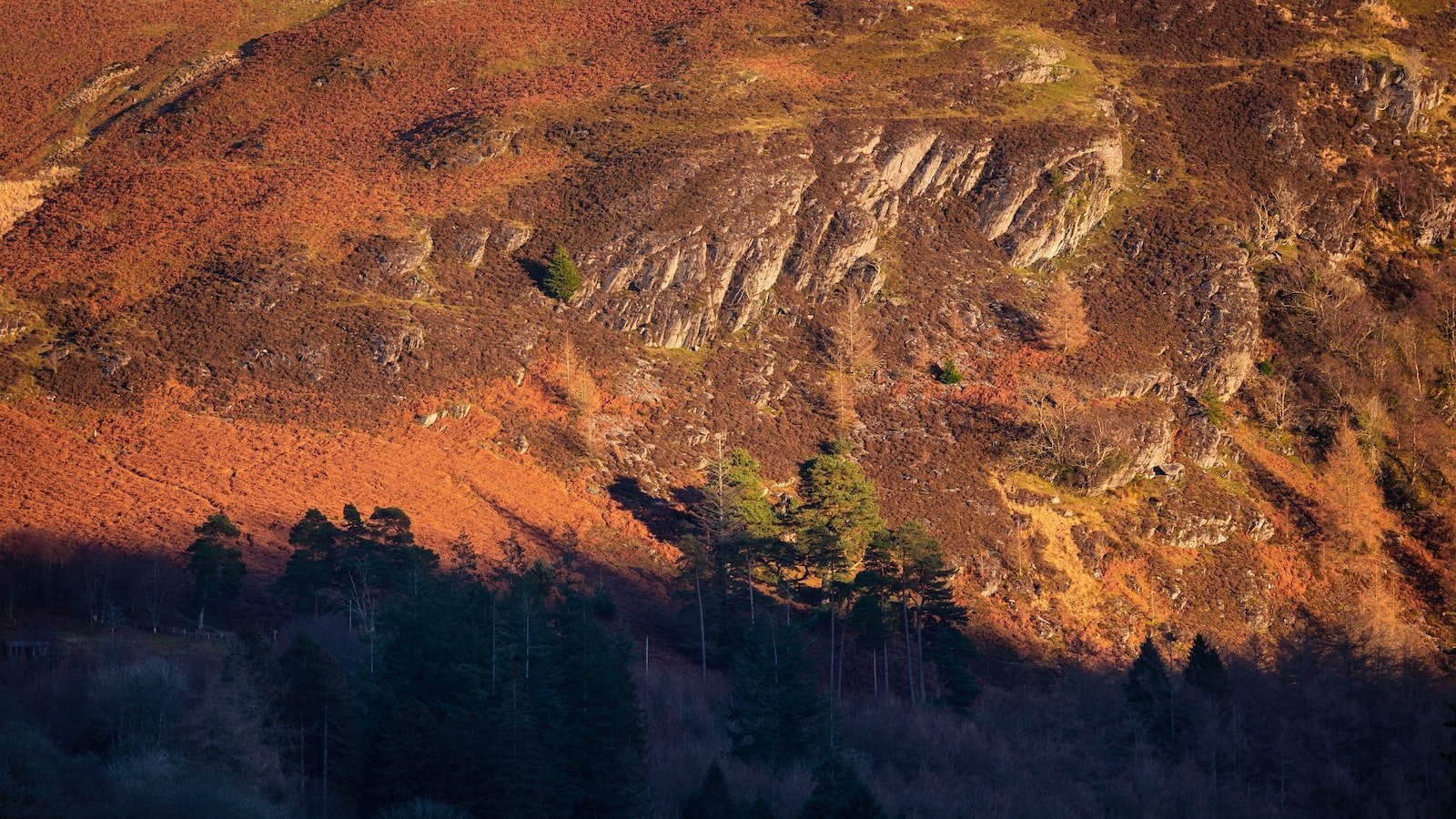 The Charm of Lake Wales: A Haven for Dreamâ¢ Homes