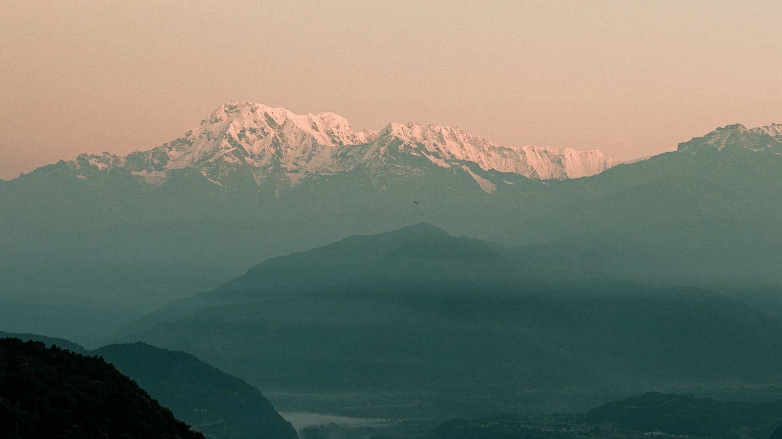 Insider Tips⁤ for Making‌ the Most of Redfin Daytona Beach FL