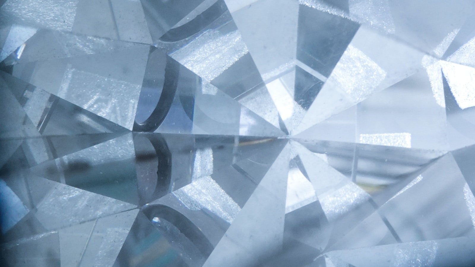 Exploring the Natural Wonders of Crystal River, FL