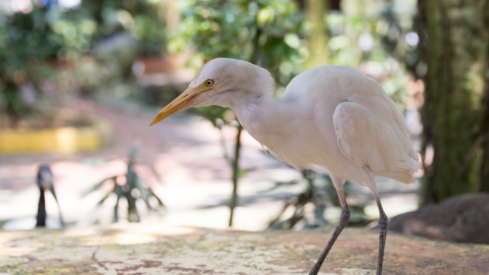 Navigating the Zillow⁤ Listings⁣ in Pembroke Pines, FL: Tips for ‍Effectively ​Evaluating⁤ and Comparing Properties