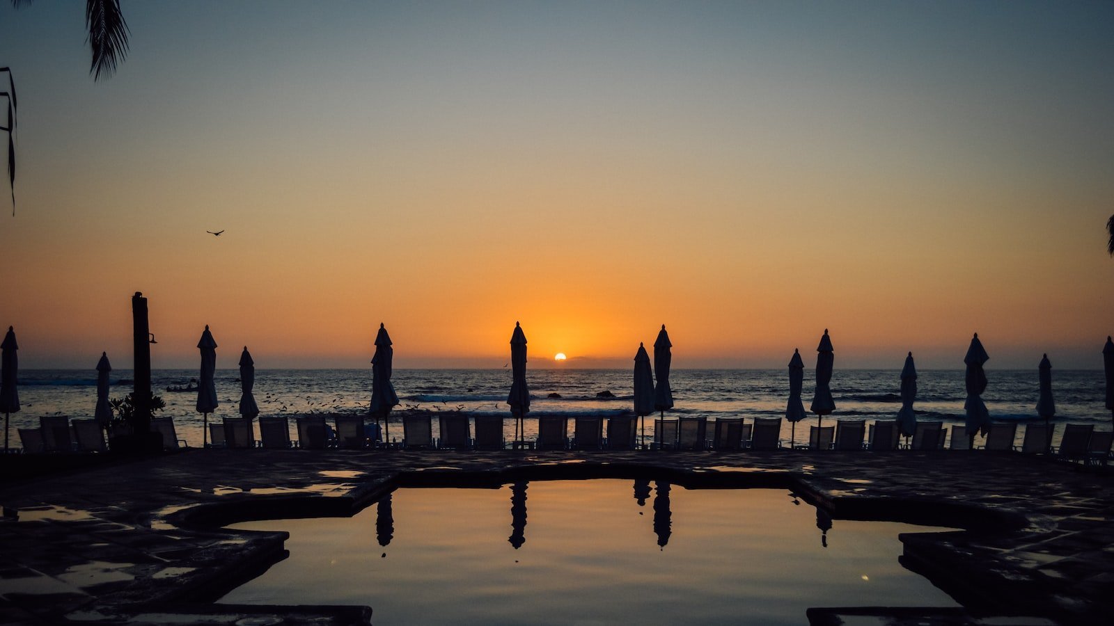 The ultimate guide to leveraging Zillow's features for a successfulâ home search inâ Port Orange,â FL