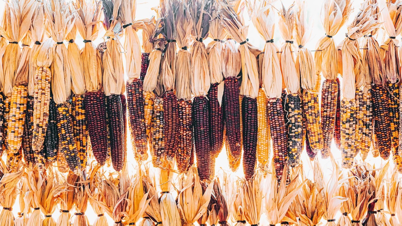 Newly Renovated Gem: A House for Sale in Tallahassee FL That Exudes Timeless Charm