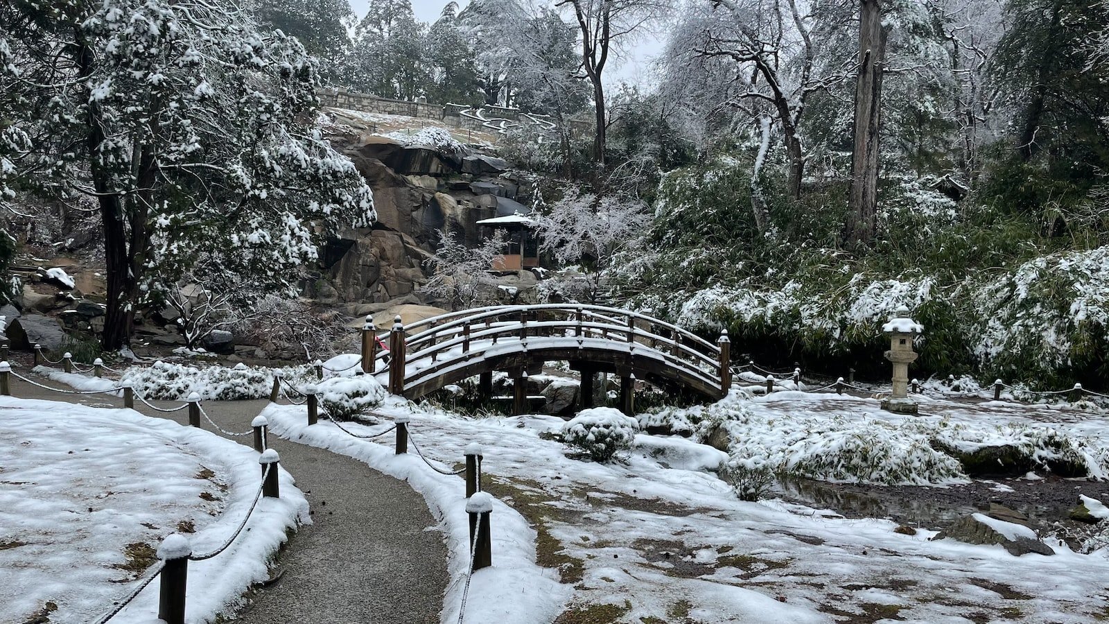 Unveiling the Key Features of Winter Garden's Finest Real Estate Websites