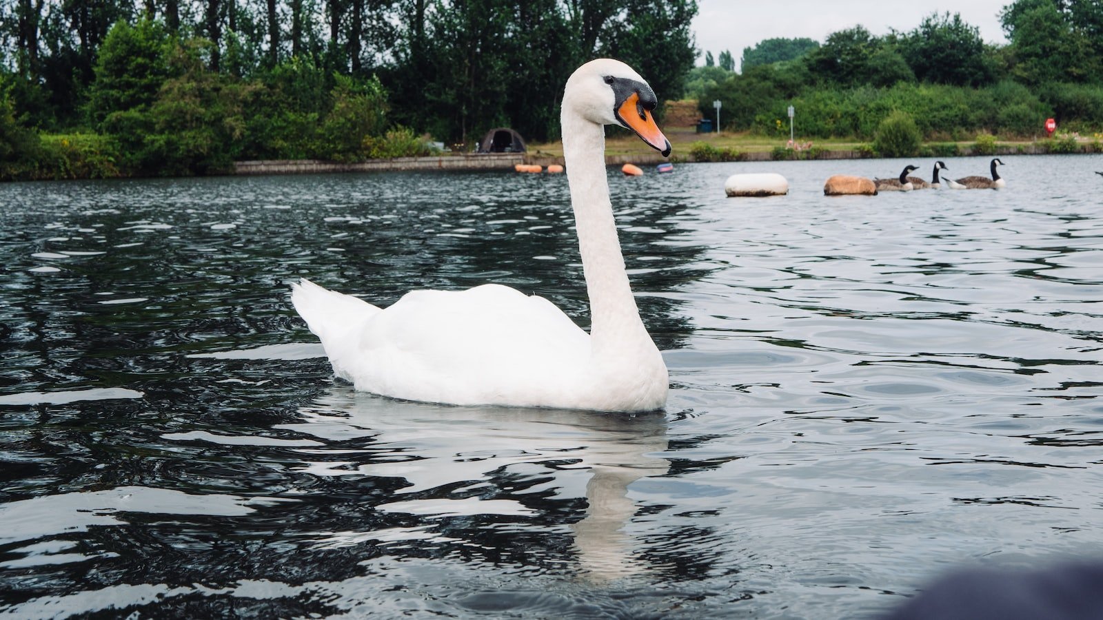 Overview of Zillow Homes for Sale in⁤ Winter Garden FL