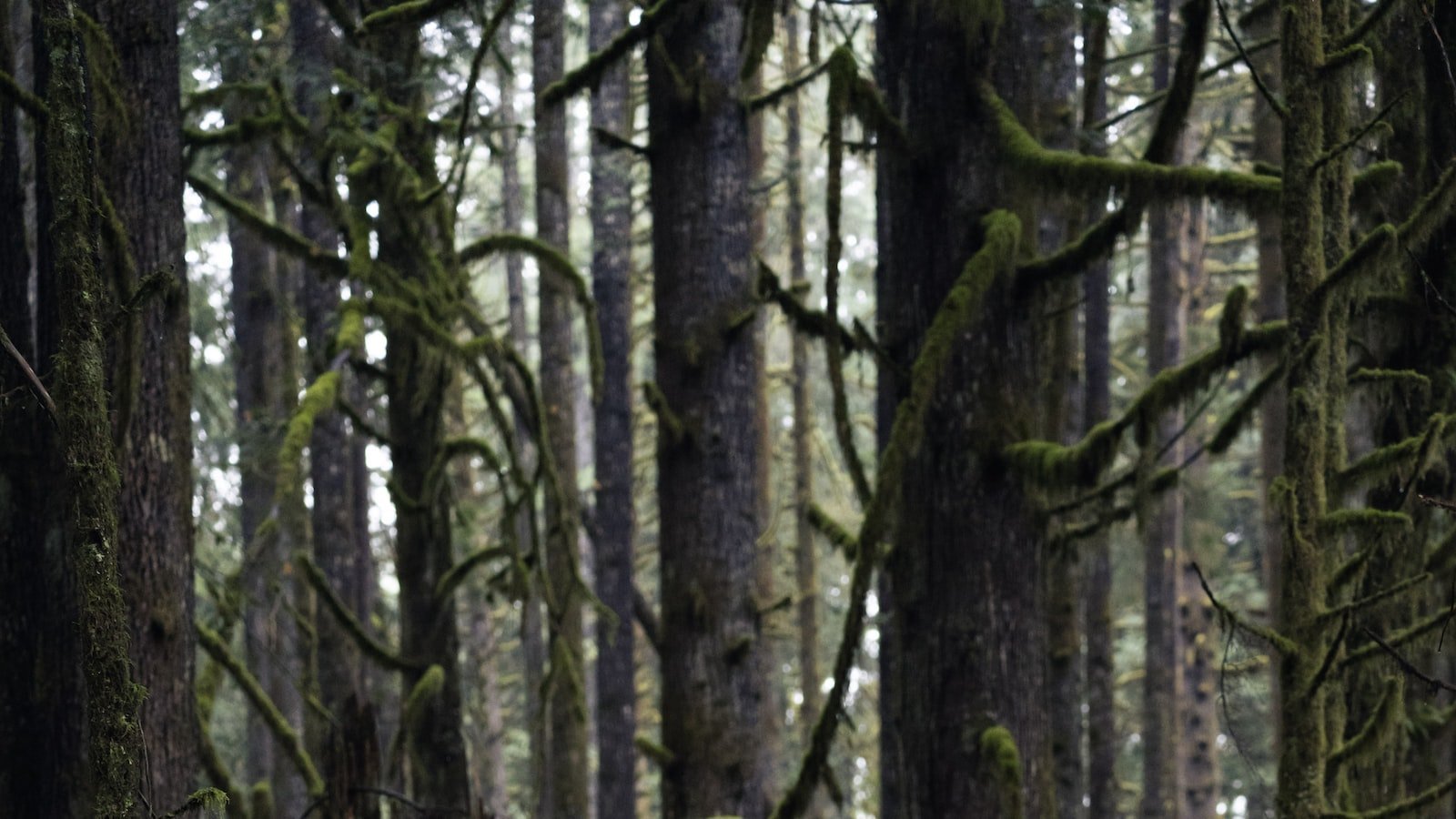 Expert Tips to Navigate the ⁣Panama City Beach‌ Real Estate Market⁤ with Ease