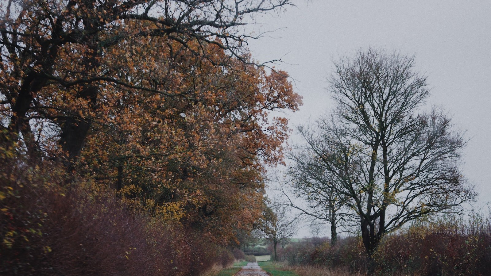 Discovering ⁤the Charm of Redfin New Port Richey‍ FL