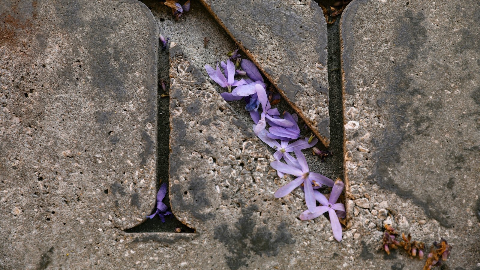 Exploring the Charm of Gulfport FL: ⁤An Ideal‍ Destination for Homebuyers