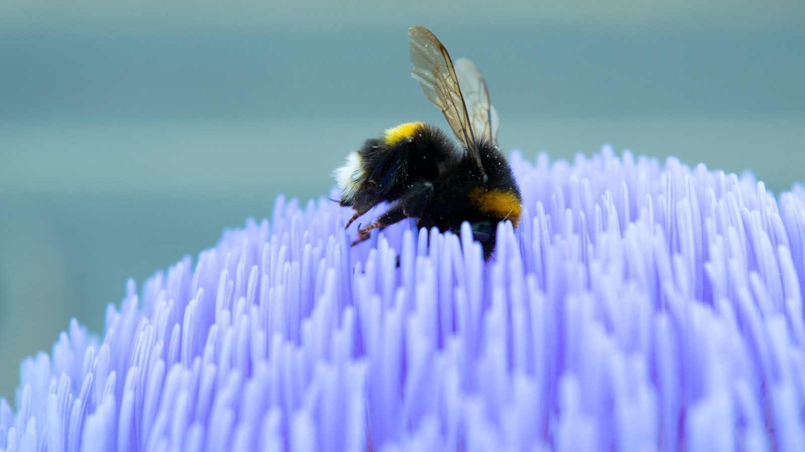 Discover the Hidden Gems ofâ Bal Harbour Real Estate with âRealtor.com