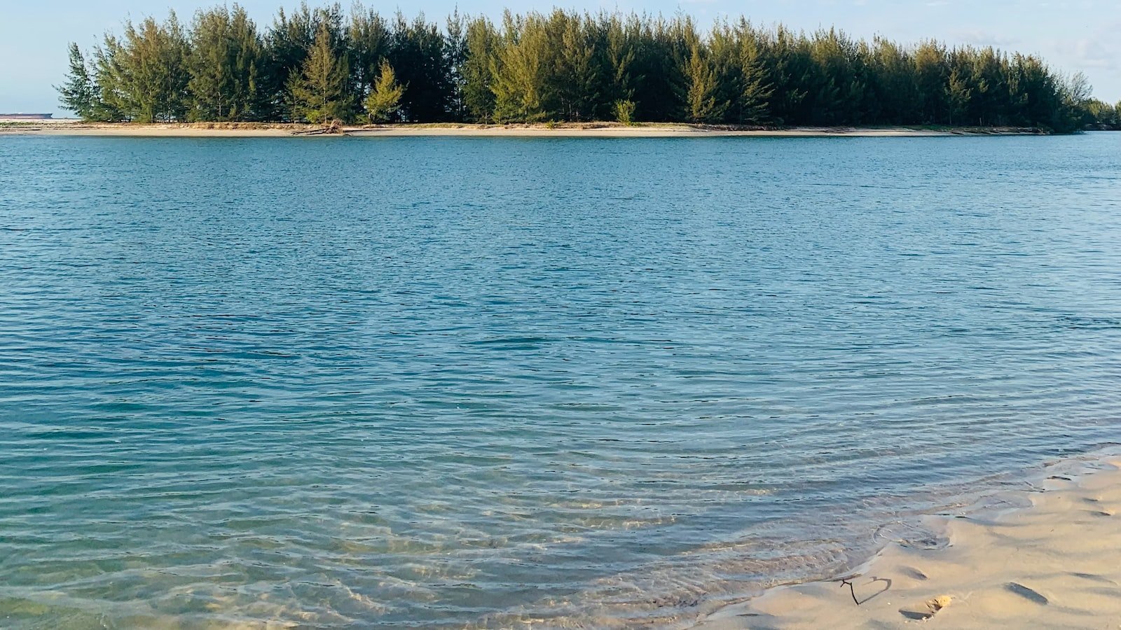 Discover the Hidden Gems of Palm Beach, FL with âRealtor.com