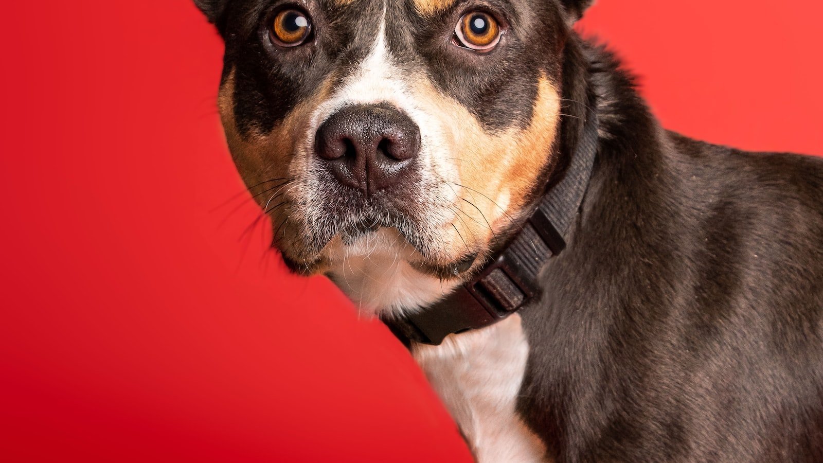 The ⁤Best Neighborhoods in Gulfport FL ‍for Home Buyers: A Close⁤ Look