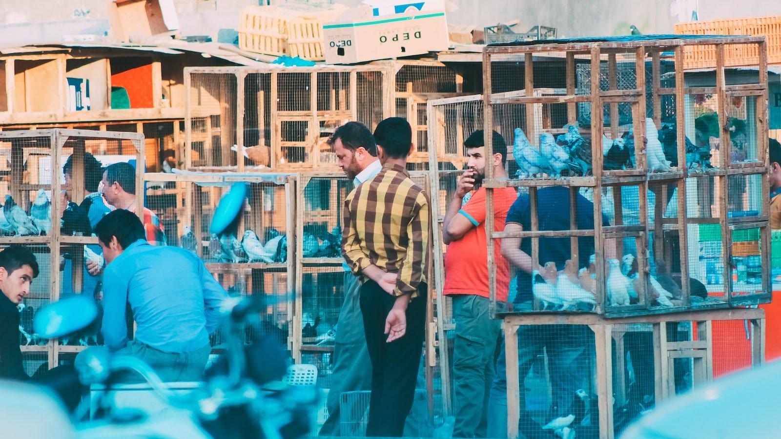 Uncover Your Dream Home: A Comprehensive Guide to Redfin Sanibel FL Listings