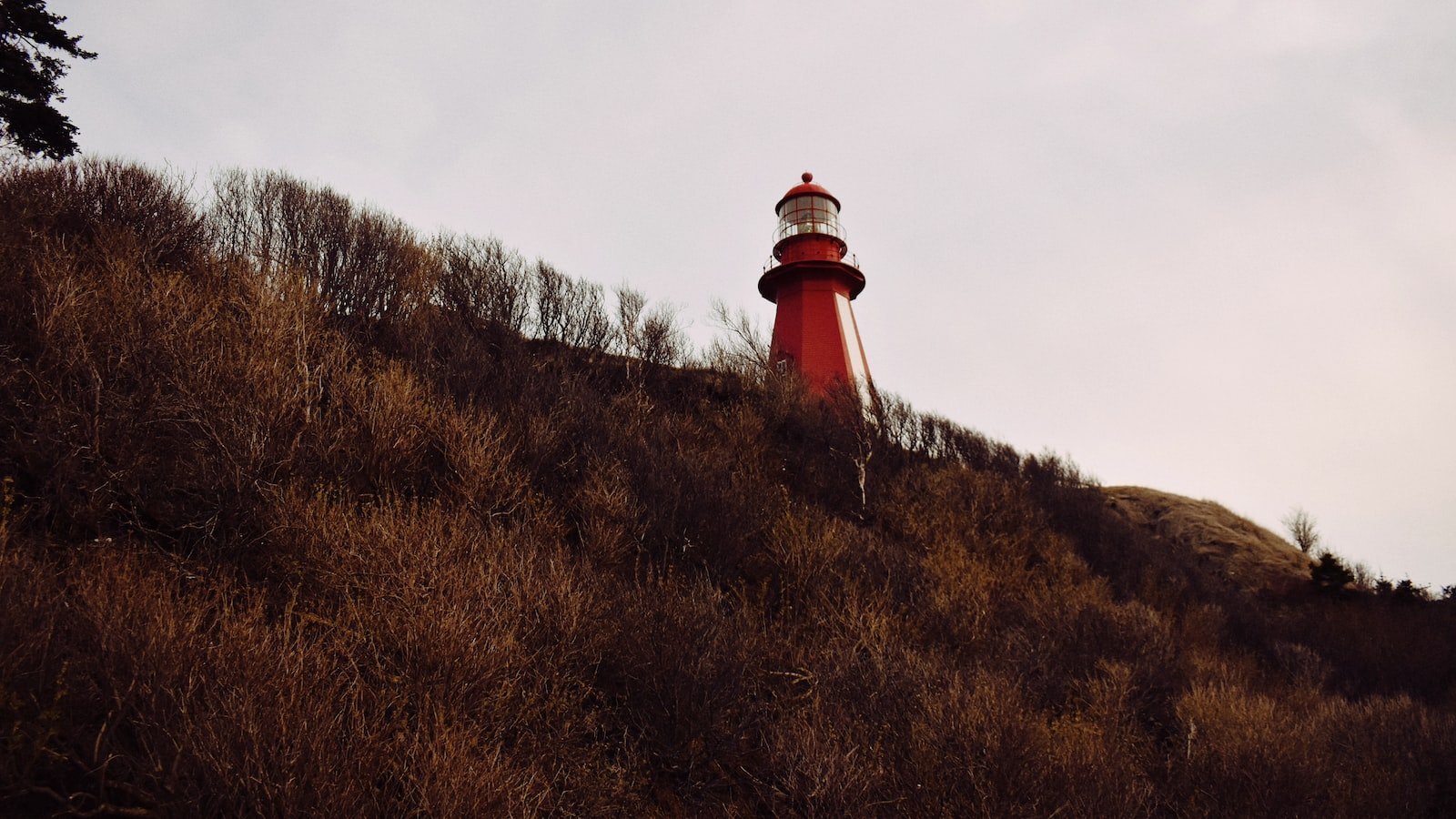 Finding Your Dream Home in Jacksonville FL