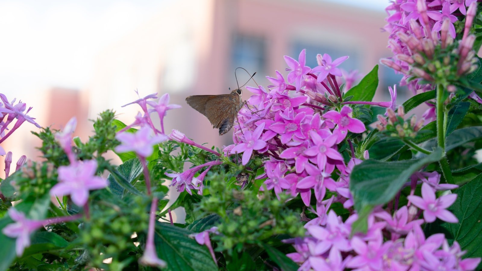 Why Boca Raton‌ FL is⁣ a Prime Real Estate Location