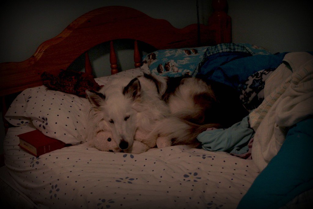 Prime Locations for ⁣Homes⁢ near Wilton Manors ‌FL