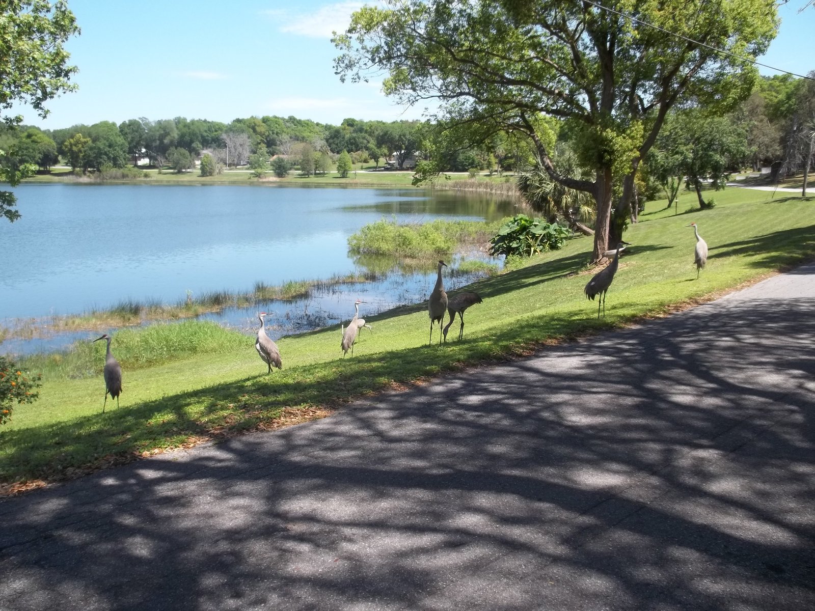 2. Fruitland Park's​ Housing Market: A Closer Look at the Variety and Affordability⁣ of Available ⁣Homes