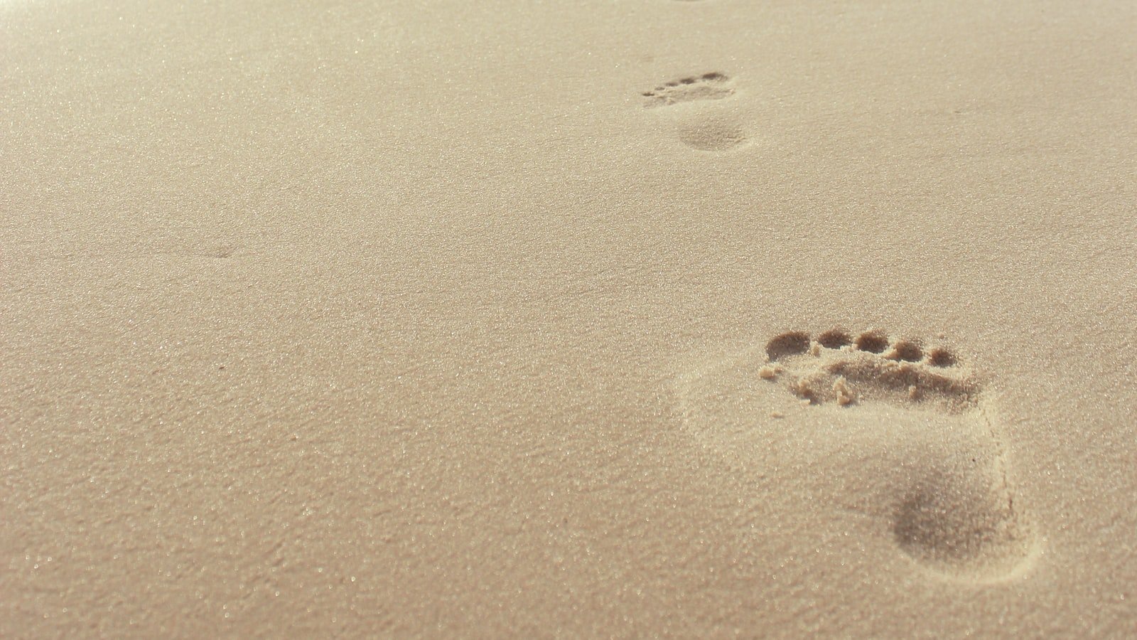 Hallandale Beach FL: A Tropical Paradise with Condos for Sale