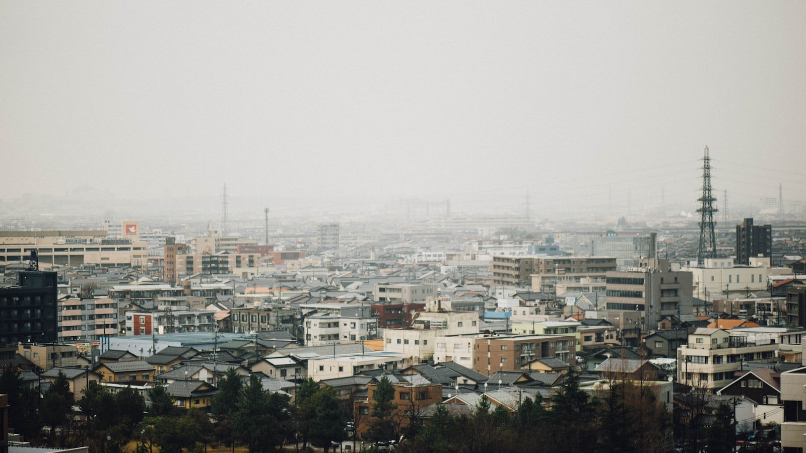 Explore the Most Desirable Neighborhoods in Greenâ Cove Springs FL on Zillow