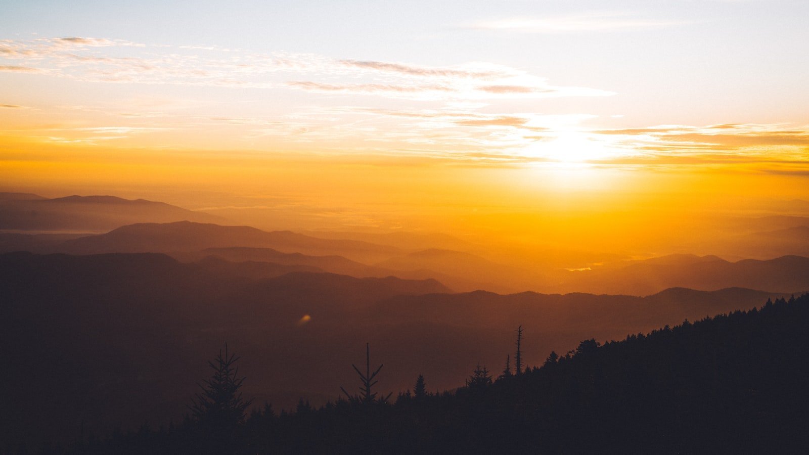 A Closer Look at Orange Park's Diverse‌ Real Estate ⁢Market