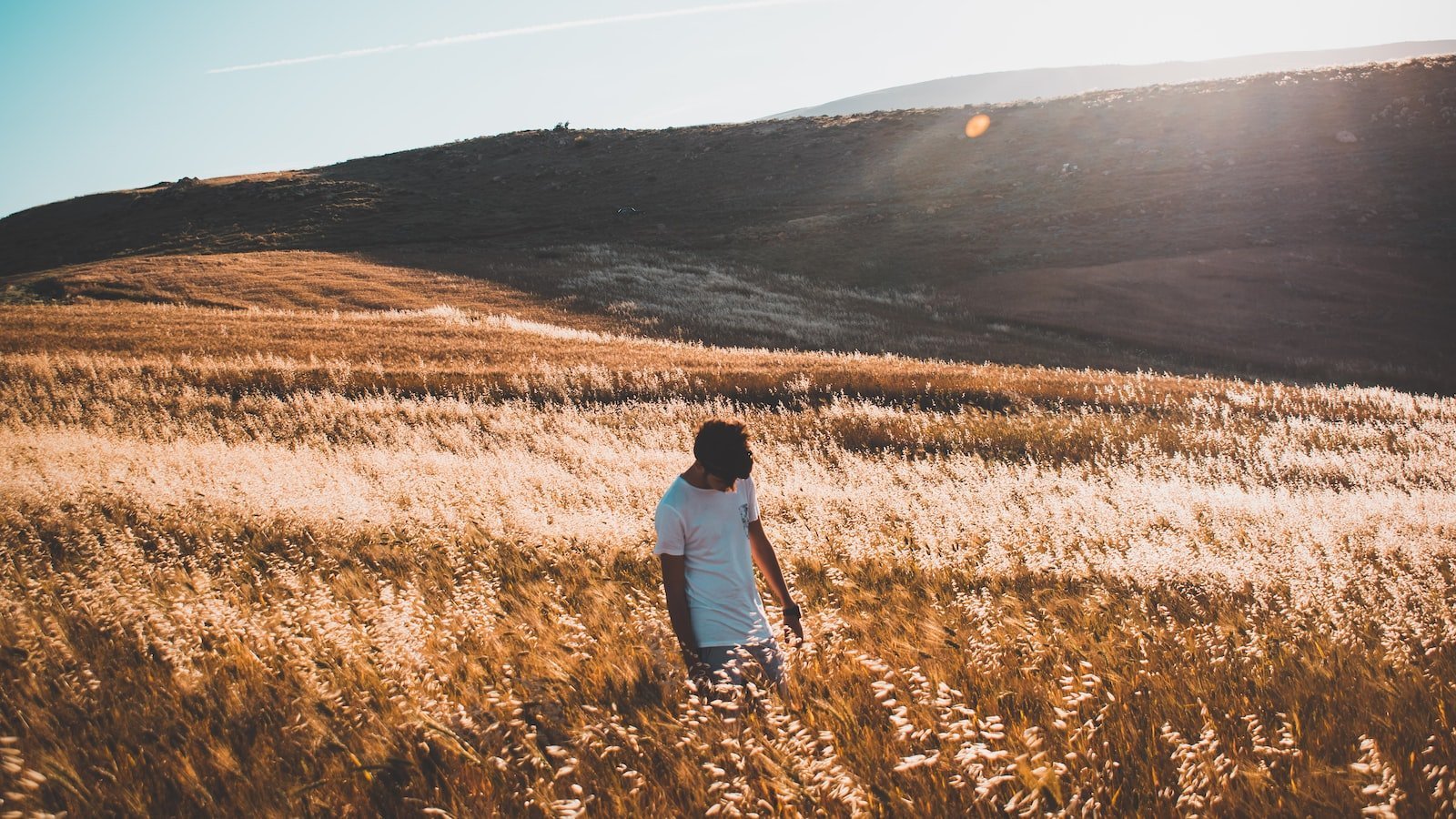 Exploring the Charm of Redfin Treasure Island⁤ FL