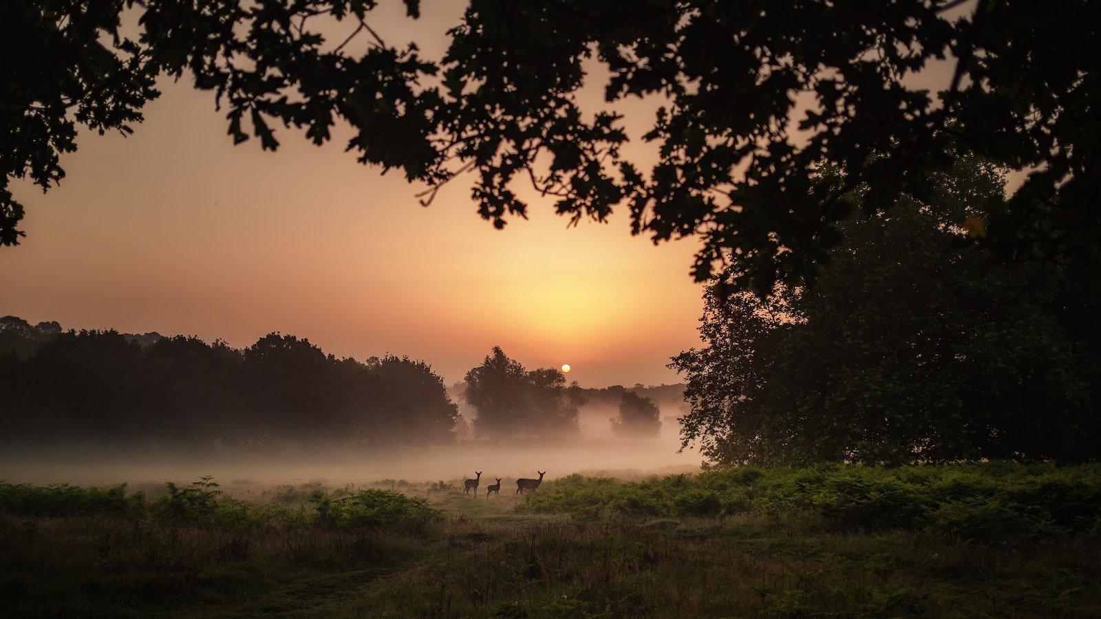 Uncover Your‍ Dream Home in ⁢Vibrant Key West: Explore‍ Townhomes for Sale