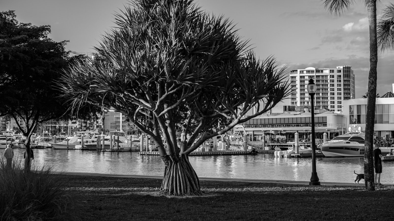 Uncover ⁢Unparalleled Amenities and Features in⁤ Sarasota, FL's Real Estate​ Market