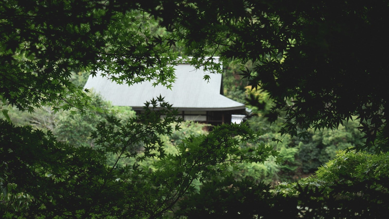 Discover ⁣the Hidden Gems of⁣ Key West: Top Neighborhoods to Explore on Trulia