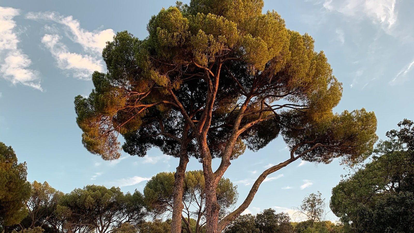 Discover the Hidden Gems: Top Neighborhoods Near ⁤Auburndale FL