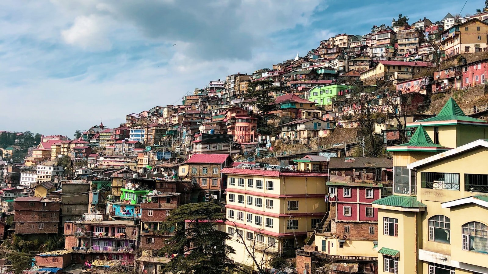 A⁣ Walkthrough of the Vibrant Neighborhoods in Trulia Hollywood FL