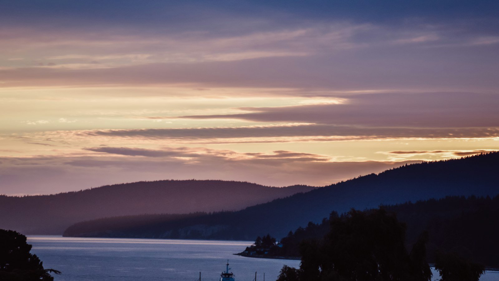 Make the Most of Zillow's Features to Secure Your Dream Home in Kissimmee, FL