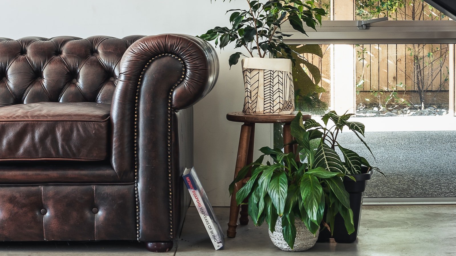 Unveiling the Expertise of Realtors in Niceville FL