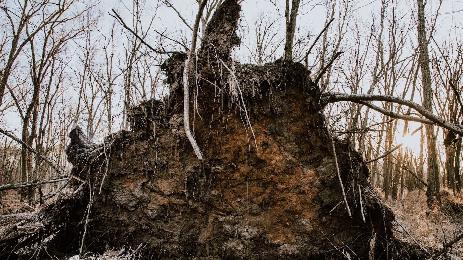 Unearth⁢ Unparalleled Amenities and Recreational Opportunities in⁢ Pensacola, ⁣FL's Housing Market