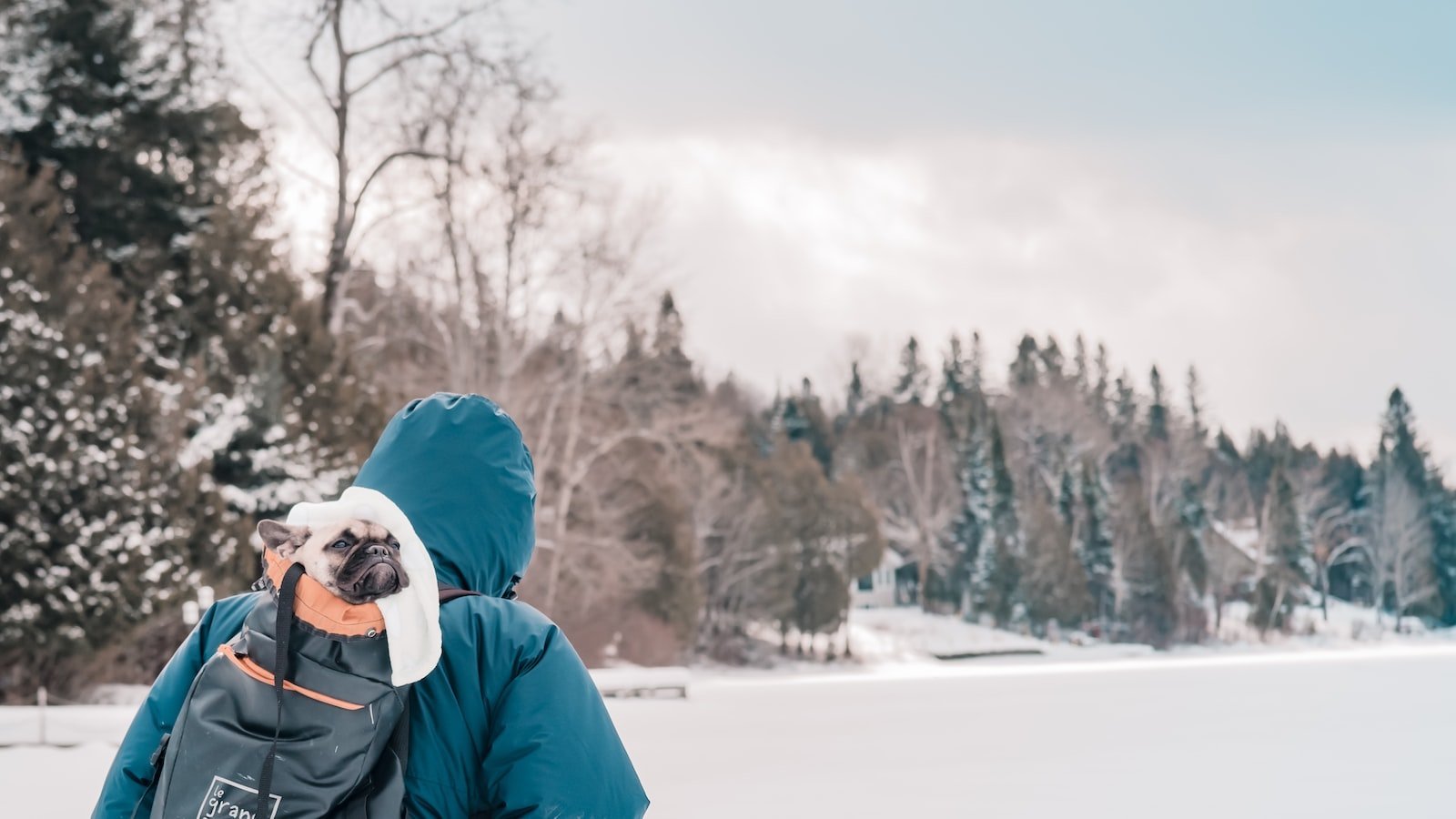 Navigating Zillow's LaBelle, FL Listings: Tips for a Successful Home Search