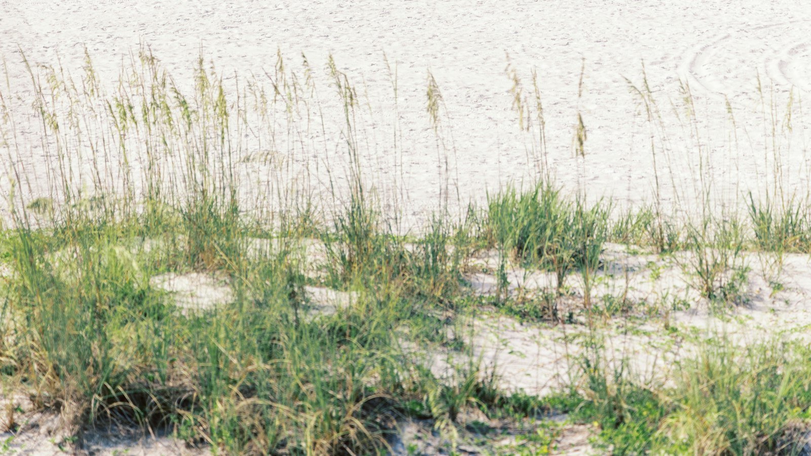 Navigating ​the Miramar, FL Real Estate Market with Zillow ⁣for‌ Sale