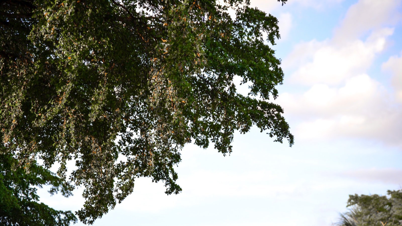 Exploring ⁢the Amenities and Attractions Surrounding Trulia Destin FL